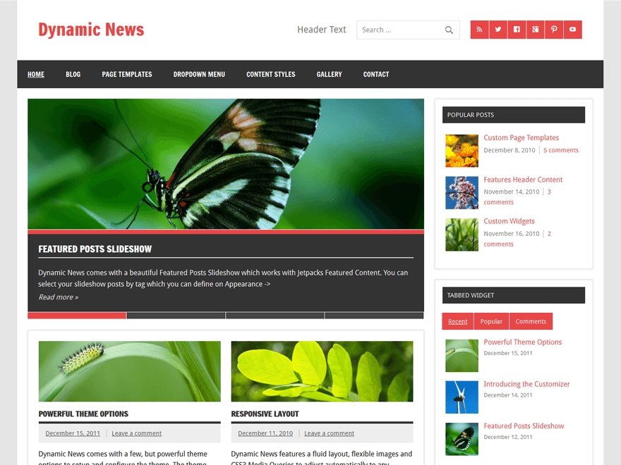 Dynamic News Lite Theme.webp
