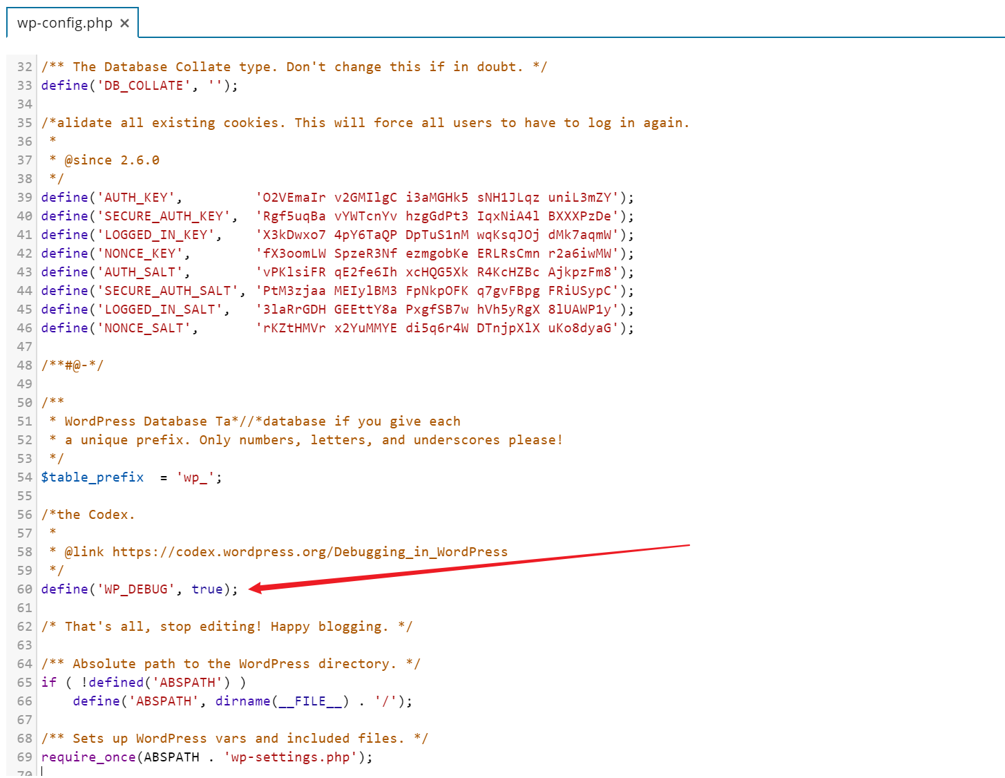 Wp Debug Screenshot
