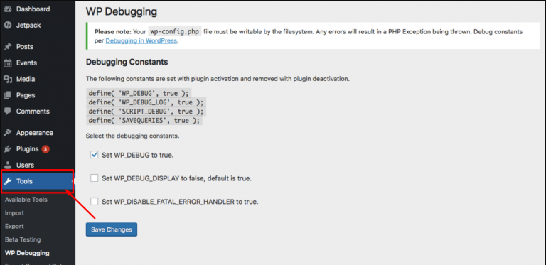 Wp Debugging Setting